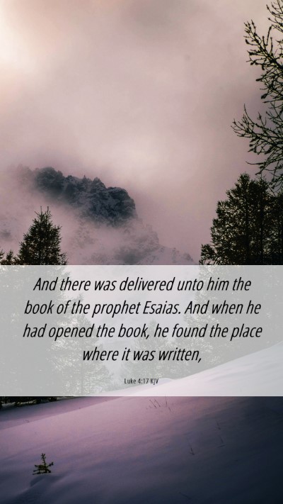 Picture 06 - Luke 4:17 KJV Mobile Phone Wallpaper - And there was delivered unto him the book of the - Mobile Bible Verse Wallpaper