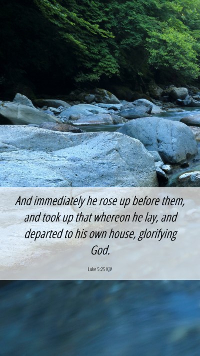 Picture 06 - Luke 5:25 KJV Mobile Phone Wallpaper - And immediately he rose up before them, and took - Mobile Bible Verse Wallpaper