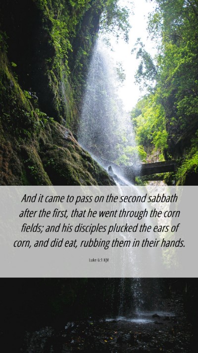 Picture 06 - Luke 6:1 KJV Mobile Phone Wallpaper - And it came to pass on the second sabbath after - Mobile Bible Verse Wallpaper