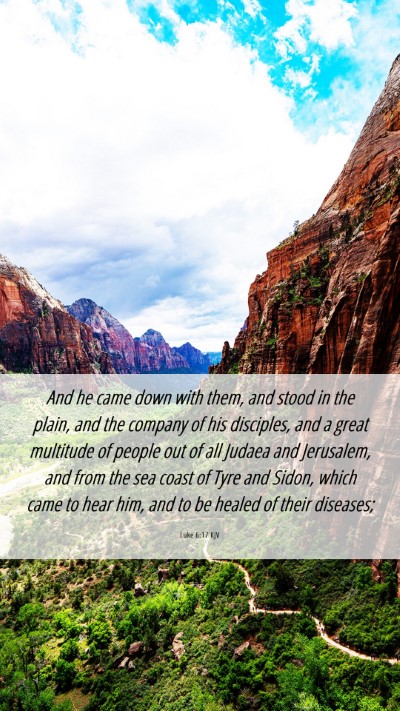 Picture 06 - Luke 6:17 KJV Mobile Phone Wallpaper - And he came down with them, and stood in the - Mobile Bible Verse Wallpaper
