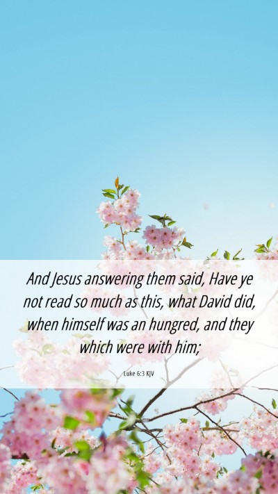 Picture 06 - Luke 6:3 KJV Mobile Phone Wallpaper - And Jesus answering them said, Have ye not read - Mobile Bible Verse Wallpaper