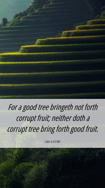 Picture 06 - Luke 6:43 KJV Mobile Phone Wallpaper - For a good tree bringeth not forth corrupt fruit; - Mobile Bible Verse Wallpaper