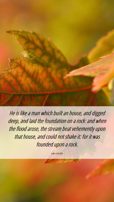 Picture 06 - Luke 6:48 KJV Mobile Phone Wallpaper - He is like a man which built an house, and digged - Mobile Bible Verse Wallpaper