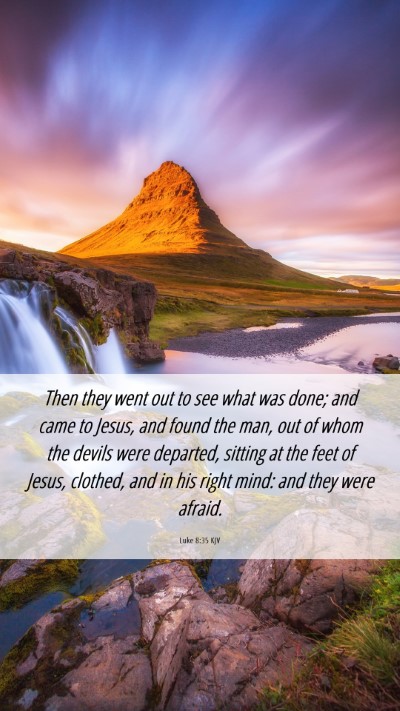 Picture 06 - Luke 8:35 KJV Mobile Phone Wallpaper - Then they went out to see what was done; and came - Mobile Bible Verse Wallpaper