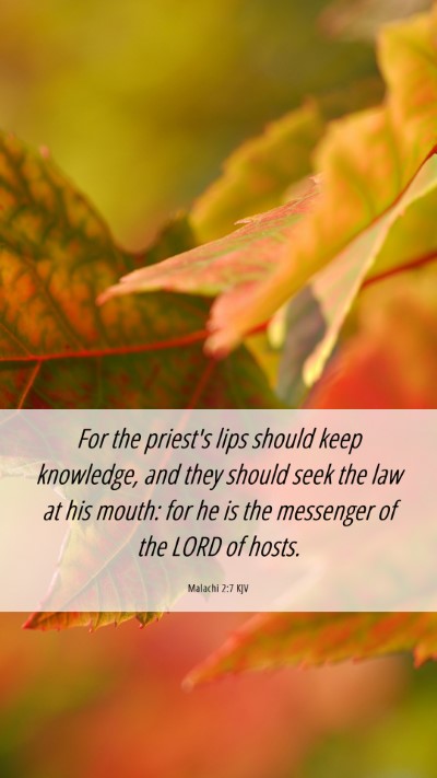 Picture 06 - Malachi 2:7 KJV Mobile Phone Wallpaper - For the priest's lips should keep knowledge, and - Mobile Bible Verse Wallpaper