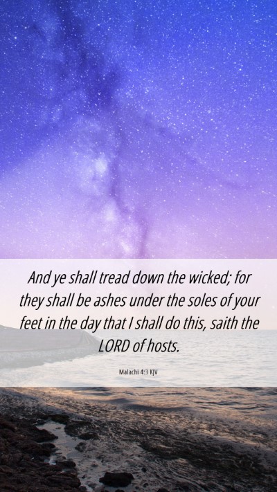 Picture 06 - Malachi 4:3 KJV Mobile Phone Wallpaper - And ye shall tread down the wicked; for they - Mobile Bible Verse Wallpaper
