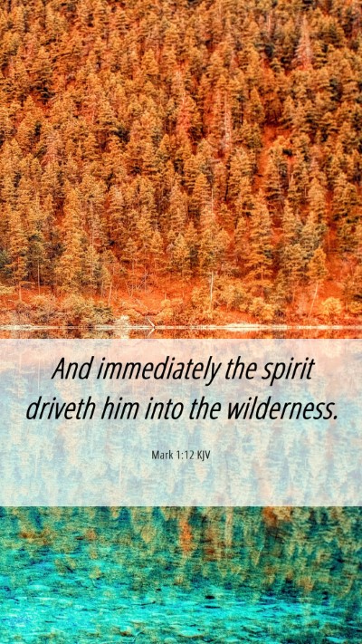 Picture 06 - Mark 1:12 KJV Mobile Phone Wallpaper - And immediately the spirit driveth him into the - Mobile Bible Verse Wallpaper