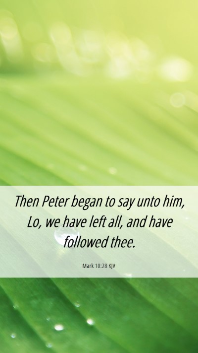 Picture 06 - Mark 10:28 KJV Mobile Phone Wallpaper - Then Peter began to say unto him, Lo, we have - Mobile Bible Verse Wallpaper