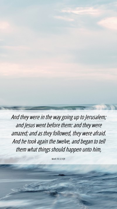 Picture 06 - Mark 10:32 KJV Mobile Phone Wallpaper - And they were in the way going up to Jerusalem; - Mobile Bible Verse Wallpaper