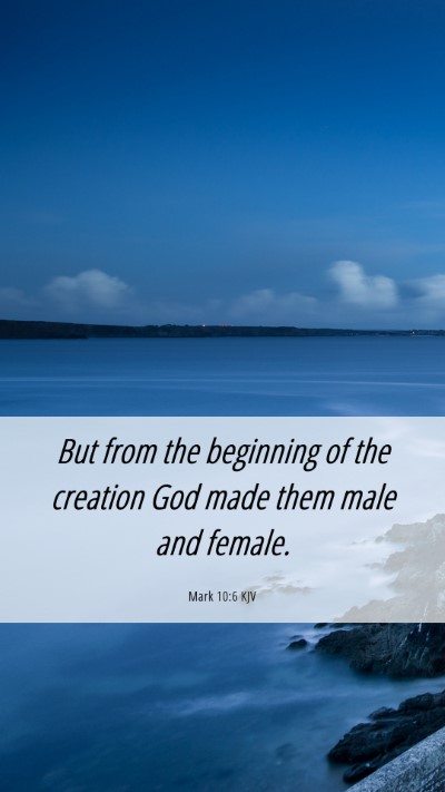 Picture 06 - Mark 10:6 KJV Mobile Phone Wallpaper - But from the beginning of the creation God made - Mobile Bible Verse Wallpaper