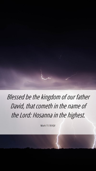 Picture 06 - Mark 11:10 KJV Mobile Phone Wallpaper - Blessed be the kingdom of our father David, that - Mobile Bible Verse Wallpaper