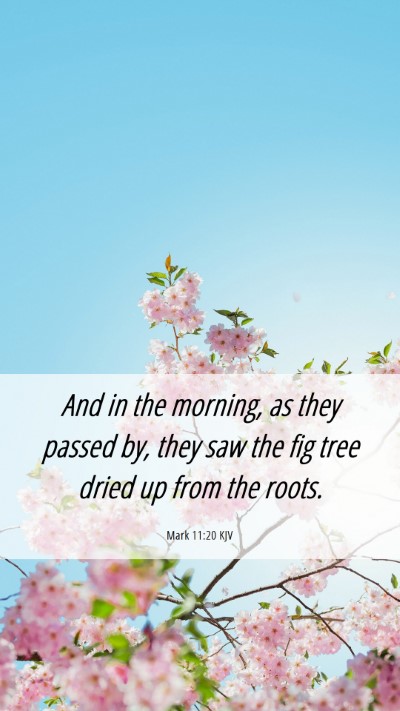 Picture 06 - Mark 11:20 KJV Mobile Phone Wallpaper - And in the morning, as they passed by, they saw - Mobile Bible Verse Wallpaper