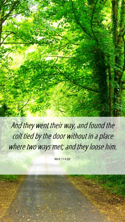 Picture 06 - Mark 11:4 KJV Mobile Phone Wallpaper - And they went their way, and found the colt tied - Mobile Bible Verse Wallpaper