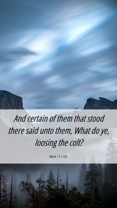 Picture 06 - Mark 11:5 KJV Mobile Phone Wallpaper - And certain of them that stood there said unto - Mobile Bible Verse Wallpaper