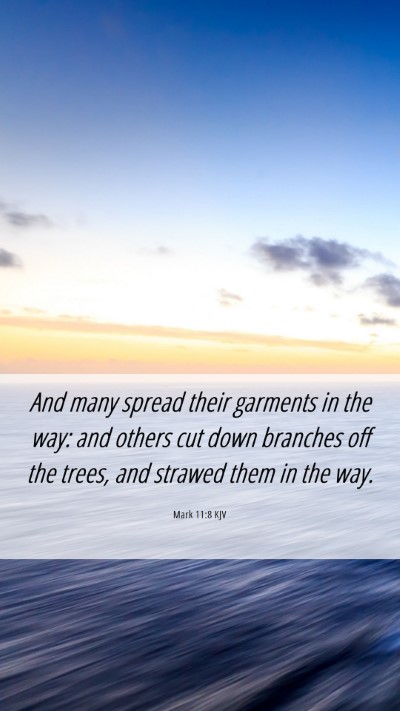 Picture 06 - Mark 11:8 KJV Mobile Phone Wallpaper - And many spread their garments in the way: and - Mobile Bible Verse Wallpaper
