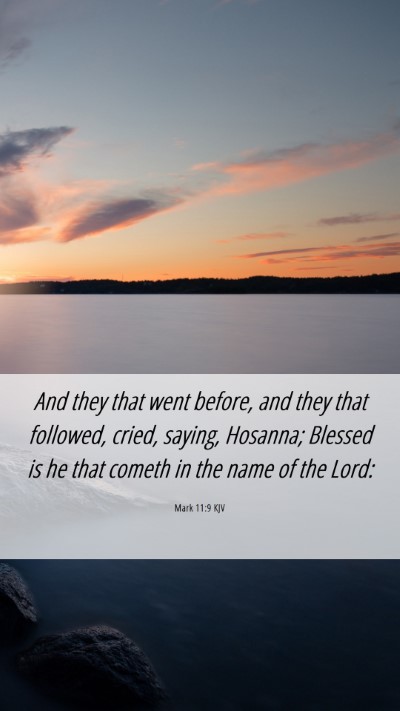 Picture 06 - Mark 11:9 KJV Mobile Phone Wallpaper - And they that went before, and they that - Mobile Bible Verse Wallpaper