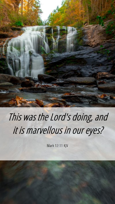Picture 06 - Mark 12:11 KJV Mobile Phone Wallpaper - This was the Lord's doing, and it is marvellous - Mobile Bible Verse Wallpaper