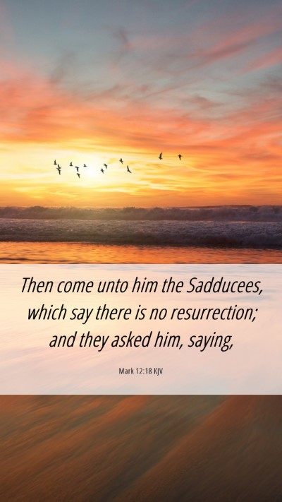 Picture 06 - Mark 12:18 KJV Mobile Phone Wallpaper - Then come unto him the Sadducees, which say there - Mobile Bible Verse Wallpaper