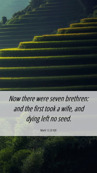 Picture 06 - Mark 12:20 KJV Mobile Phone Wallpaper - Now there were seven brethren: and the first took - Mobile Bible Verse Wallpaper