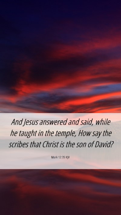 Picture 06 - Mark 12:35 KJV Mobile Phone Wallpaper - And Jesus answered and said, while he taught in - Mobile Bible Verse Wallpaper