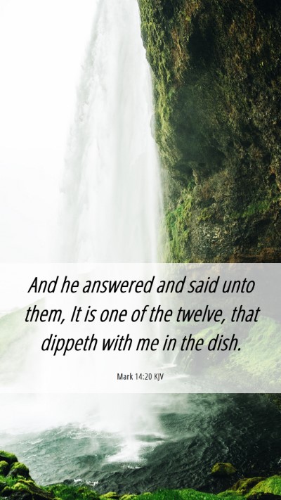 Picture 06 - Mark 14:20 KJV Mobile Phone Wallpaper - And he answered and said unto them, It is one of - Mobile Bible Verse Wallpaper