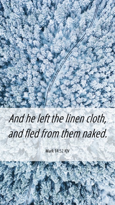 Picture 06 - Mark 14:52 KJV Mobile Phone Wallpaper - And he left the linen cloth, and fled from them - Mobile Bible Verse Wallpaper