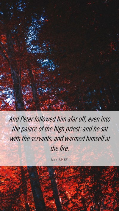 Picture 06 - Mark 14:54 KJV Mobile Phone Wallpaper - And Peter followed him afar off, even into the - Mobile Bible Verse Wallpaper