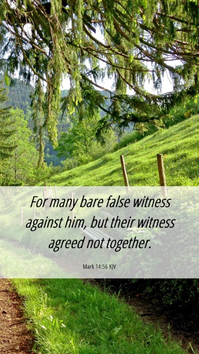 Picture 06 - Mark 14:56 KJV Mobile Phone Wallpaper - For many bare false witness against him, but - Mobile Bible Verse Wallpaper