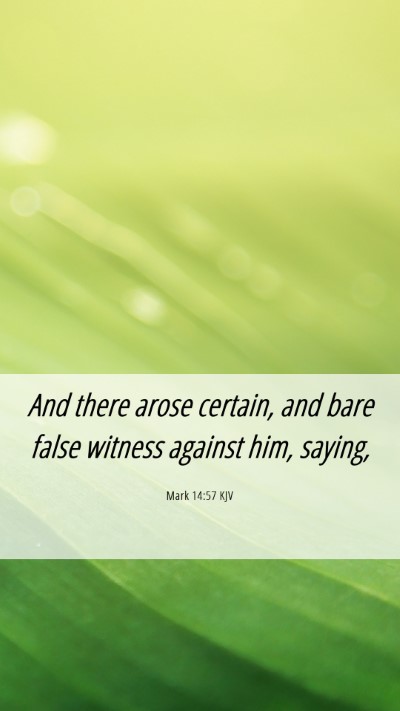 Picture 06 - Mark 14:57 KJV Mobile Phone Wallpaper - And there arose certain, and bare false witness - Mobile Bible Verse Wallpaper