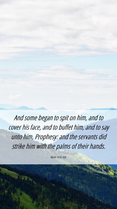 Picture 06 - Mark 14:65 KJV Mobile Phone Wallpaper - And some began to spit on him, and to cover his - Mobile Bible Verse Wallpaper