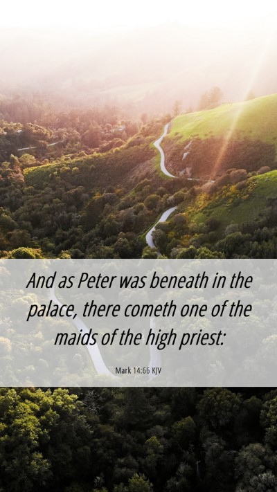 Picture 06 - Mark 14:66 KJV Mobile Phone Wallpaper - And as Peter was beneath in the palace, there - Mobile Bible Verse Wallpaper