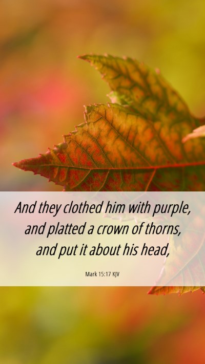 Picture 06 - Mark 15:17 KJV Mobile Phone Wallpaper - And they clothed him with purple, and platted a - Mobile Bible Verse Wallpaper