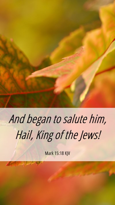 Picture 06 - Mark 15:18 KJV Mobile Phone Wallpaper - And began to salute him, Hail, King of the - Mobile Bible Verse Wallpaper