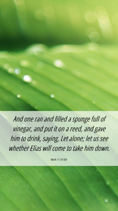 Picture 06 - Mark 15:36 KJV Mobile Phone Wallpaper - And one ran and filled a spunge full of vinegar, - Mobile Bible Verse Wallpaper