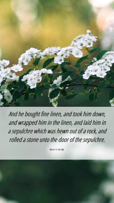 Picture 06 - Mark 15:46 KJV Mobile Phone Wallpaper - And he bought fine linen, and took him down, and - Mobile Bible Verse Wallpaper
