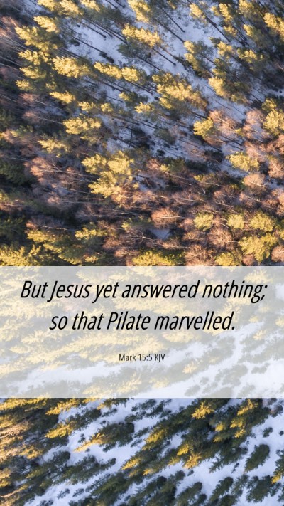 Picture 06 - Mark 15:5 KJV Mobile Phone Wallpaper - But Jesus yet answered nothing; so that Pilate - Mobile Bible Verse Wallpaper