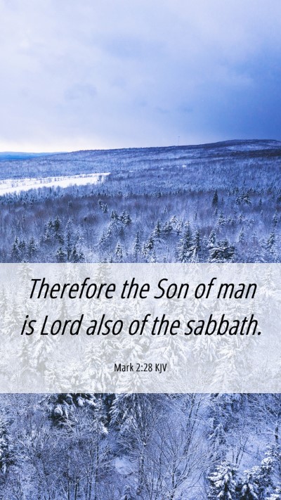 Picture 06 - Mark 2:28 KJV Mobile Phone Wallpaper - Therefore the Son of man is Lord also of the - Mobile Bible Verse Wallpaper