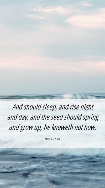 Picture 06 - Mark 4:27 KJV Mobile Phone Wallpaper - And should sleep, and rise night and day, and the - Mobile Bible Verse Wallpaper