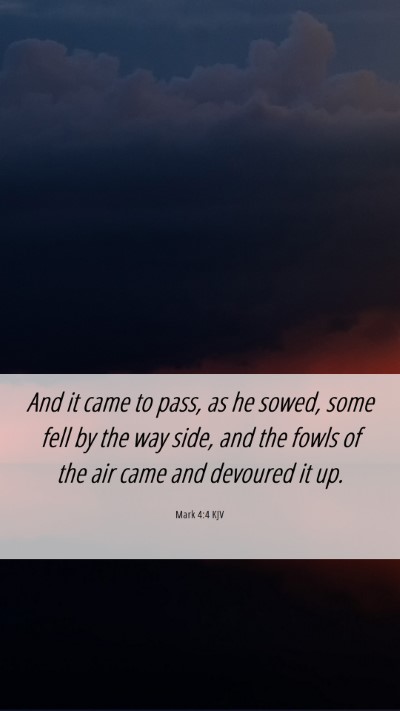 Picture 06 - Mark 4:4 KJV Mobile Phone Wallpaper - And it came to pass, as he sowed, some fell by - Mobile Bible Verse Wallpaper