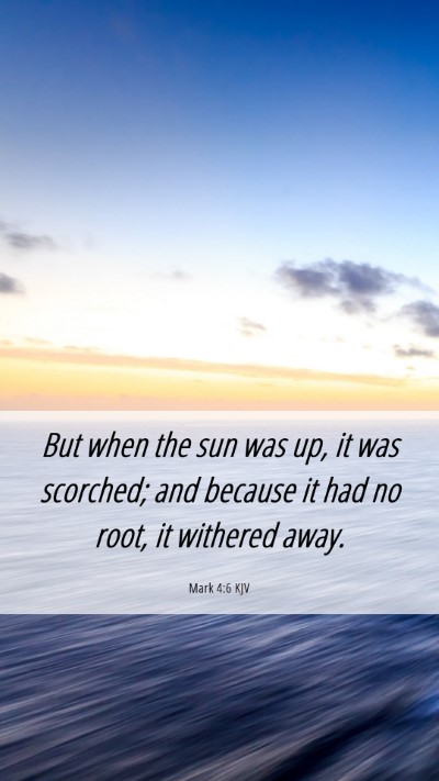 Picture 06 - Mark 4:6 KJV Mobile Phone Wallpaper - But when the sun was up, it was scorched; and - Mobile Bible Verse Wallpaper