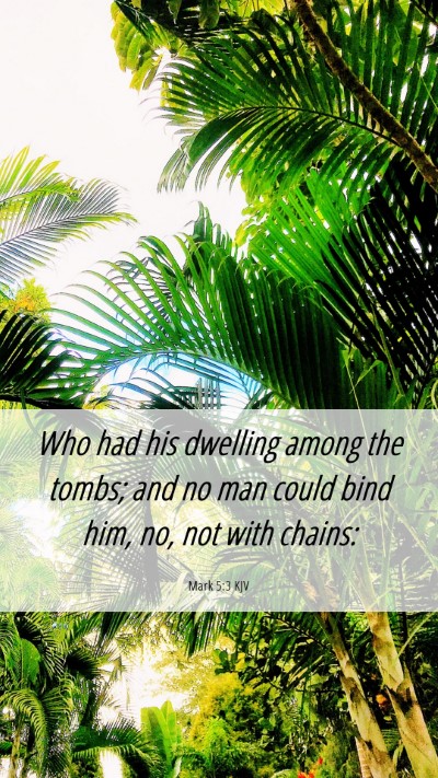 Picture 06 - Mark 5:3 KJV Mobile Phone Wallpaper - Who had his dwelling among the tombs; and no man - Mobile Bible Verse Wallpaper