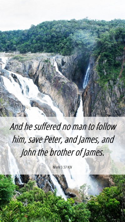 Picture 06 - Mark 5:37 KJV Mobile Phone Wallpaper - And he suffered no man to follow him, save Peter, - Mobile Bible Verse Wallpaper