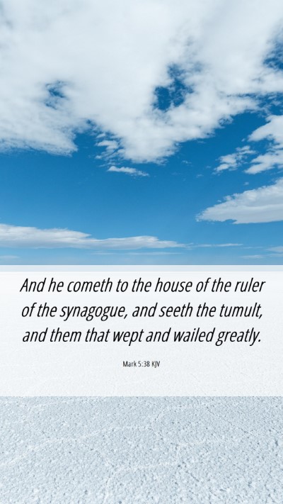 Picture 06 - Mark 5:38 KJV Mobile Phone Wallpaper - And he cometh to the house of the ruler of the - Mobile Bible Verse Wallpaper
