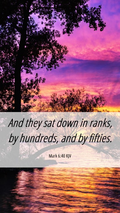 Picture 06 - Mark 6:40 KJV Mobile Phone Wallpaper - And they sat down in ranks, by hundreds, and by - Mobile Bible Verse Wallpaper