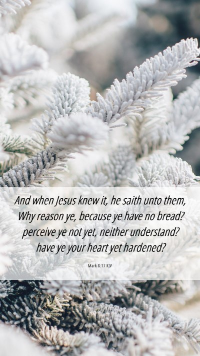 Picture 06 - Mark 8:17 KJV Mobile Phone Wallpaper - And when Jesus knew it, he saith unto them, Why - Mobile Bible Verse Wallpaper