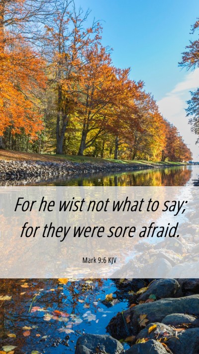 Picture 06 - Mark 9:6 KJV Mobile Phone Wallpaper - For he wist not what to say; for they were sore - Mobile Bible Verse Wallpaper