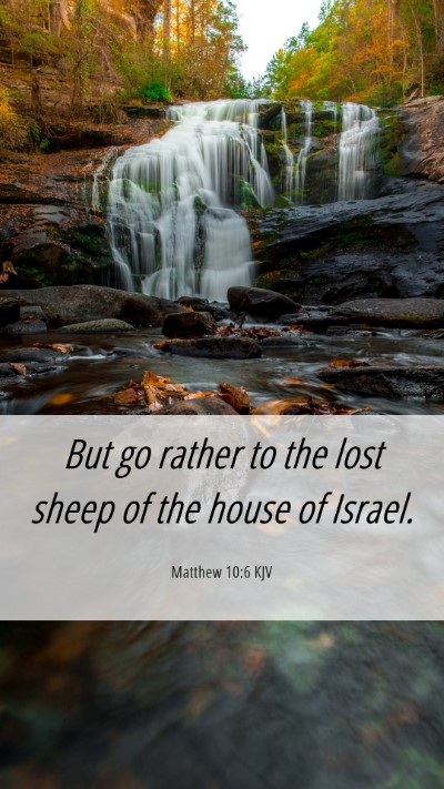 Picture 06 - Matthew 10:6 KJV Mobile Phone Wallpaper - But go rather to the lost sheep of the house of - Mobile Bible Verse Wallpaper