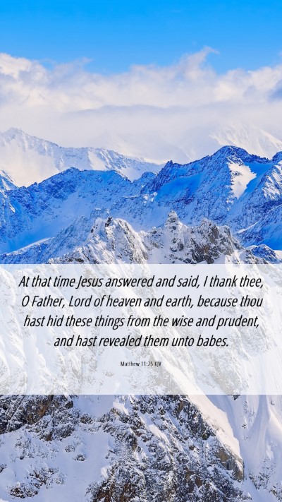 Picture 06 - Matthew 11:25 KJV Mobile Phone Wallpaper - At that time Jesus answered and said, I thank - Mobile Bible Verse Wallpaper