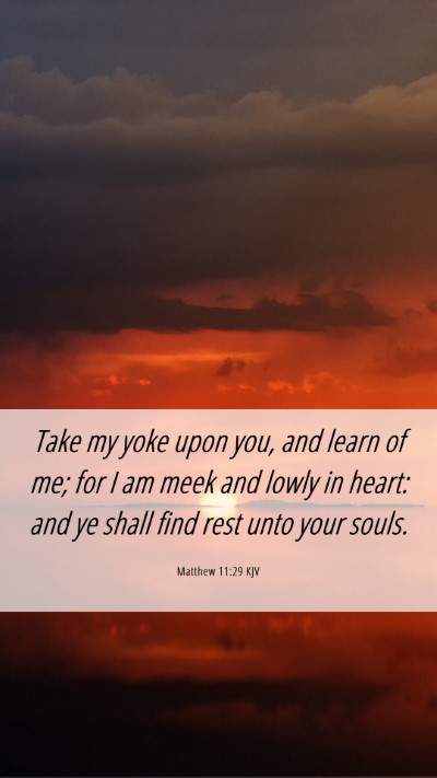 Picture 06 - Matthew 11:29 KJV Mobile Phone Wallpaper - Take my yoke upon you, and learn of me; for I am - Mobile Bible Verse Wallpaper