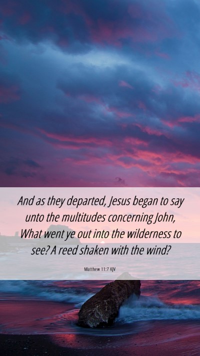 Picture 06 - Matthew 11:7 KJV Mobile Phone Wallpaper - And as they departed, Jesus began to say unto the - Mobile Bible Verse Wallpaper
